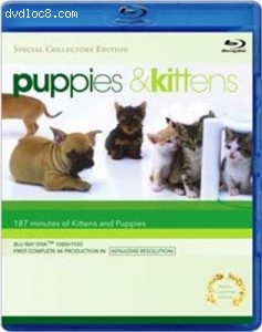 Cover Image for 'Puppies &amp; Kittens'