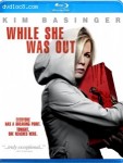 Cover Image for 'While She Was Out'