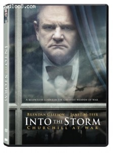 Into the Storm Cover