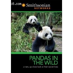 Pandas in the Wild Cover