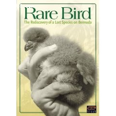 Rare Bird Cover