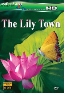 Lily Town, The Cover