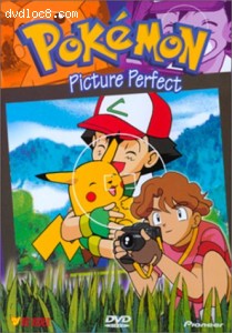 Pokemon - Picture Perfect (Vol. 17) Cover