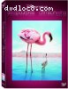 Disneynature: Crimson Wing - Mystery of Flamingo
