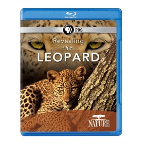 Nature: Revealing the Leopard [Blu-ray] Cover