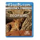 Nature: Revealing the Leopard [Blu-ray]