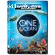 One Ocean