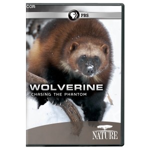Nature: Wolverine: Chasing the Phantom Cover