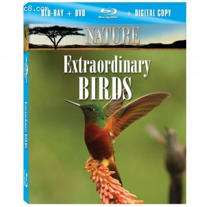 Nature: Extraordinary Birds [Blu-ray] Cover