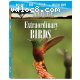 Nature: Extraordinary Birds [Blu-ray]