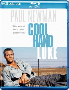 Cool Hand Luke Cover