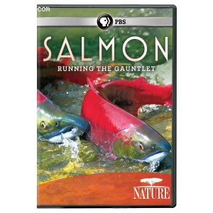 Nature: Salmon Cover