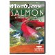 Nature: Salmon