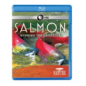 Nature: Salmon [Blu-ray] Cover