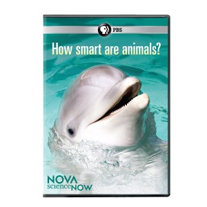 How Smart Are Animals? Cover
