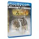 Nature: Radioactive Wolves (Blu-Ray)