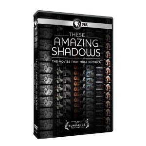 These Amazing Shadows: The Movies That Make America Cover