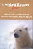 Churchill, Manitoba's Beluga Whales &amp; Polar Bears