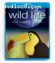Wild Life [Blu-ray]