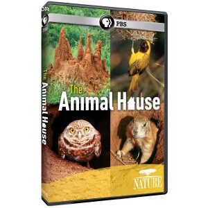 Nature: The Animal House Cover