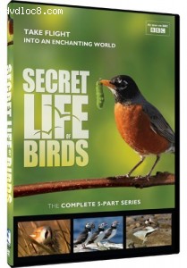 Secret Life of Birds Cover
