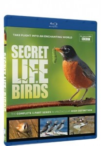 Secret Life of Birds (Blu-Ray) Cover
