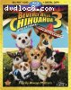 Beverly Hills Chihuahua 3 (Two-Disc Combo: Blu-ray/DVD + Digital Copy)