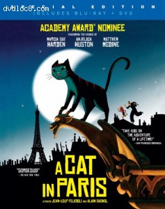Cover Image for 'Cat in Paris (Two-Disc Blu-ray/DVD Combo), A'