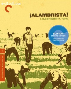 Cover Image for '¡Alambrista! (The Criterion Collection)'
