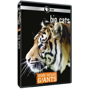 Inside Nature's Giants: Big Cats Cover