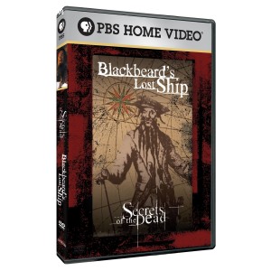 Blackbeard's Lost Ship Cover