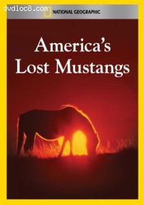 America's Lost Mustangs Cover