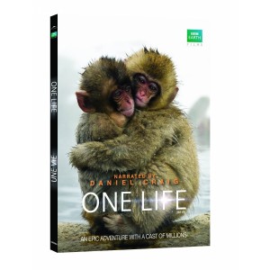 One Life Cover