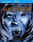 Cover Image for 'The Black Waters of Echo's Pond'