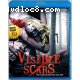 Visible Scars [Blu-ray]