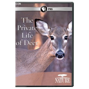 Nature: Private Life of Deer Cover