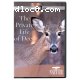 Nature: Private Life of Deer