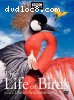 Life of Birds, The