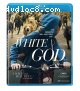 White God [Blu-ray]