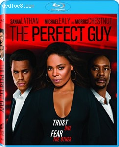 Cover Image for 'Perfect Guy, The'