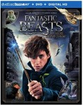 Cover Image for 'Fantastic Beasts and Where to Find Them (Blu-ray + DVD + Digital HD UltraViolet Combo Pack)'