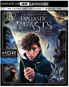 Fantastic Beasts and Where to Find Them (4K Ultra HD + Blu-ray + Digital HD) Cover