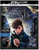 Fantastic Beasts and Where to Find Them (4K Ultra HD + Blu-ray + Digital HD)