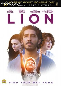 Lion Cover