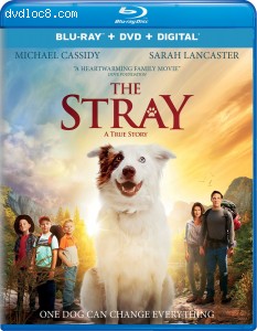 Stray, The [Blu-ray + DVD + Digital]
