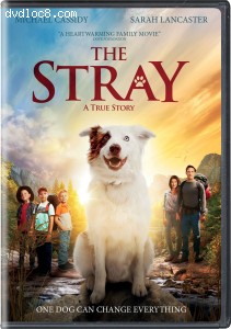 Stray, The Cover