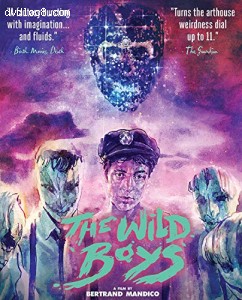 Cover Image for 'Wild Boys, The'