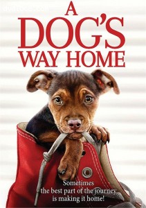 Dogs Way Home, A [DVD/Digital] Cover