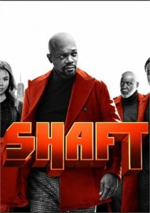 Shaft Cover