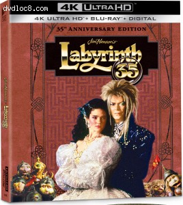 Cover Image for 'Labyrinth (DigiBook / 35th Anniversary Edition) [4K Ultra HD + Blu-ray + Digital]'